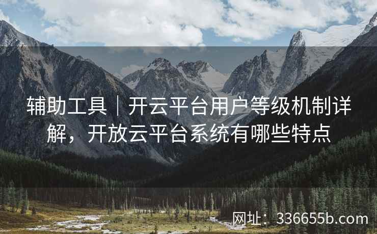 辅助工具｜开云平台用户等级机制详解，开放云平台系统有哪些特点
